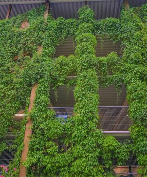 230725 Parkhaus Am Heinrich-fischer-bad _fassadenbegrünung _moritz Goebel003 Kopie